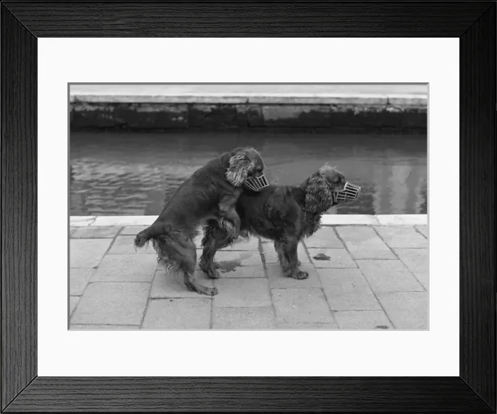 Framed Print : Picture No. 10494012 Framed Print : Picture No. 10494012
