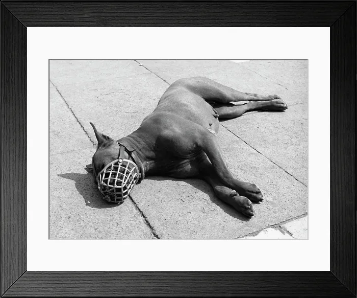Framed Print : Picture No. 10494013 Framed Print : Picture No. 10494013