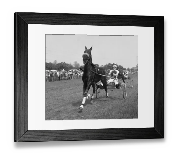 Framed Print : Picture No. 10493993 Framed Print : Picture No. 10493993