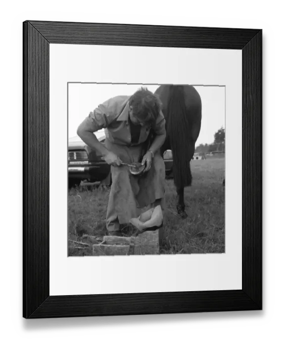Framed Print : Picture No. 10494026 Framed Print : Picture No. 10494026