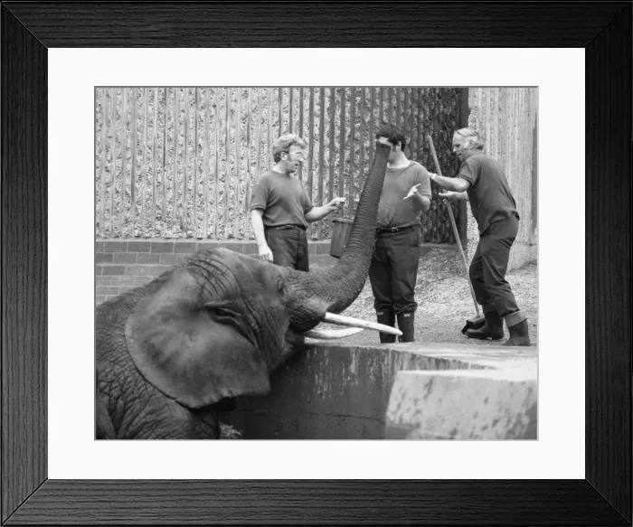 Framed Print : Picture No. 10494003 Framed Print : Picture No. 10494003