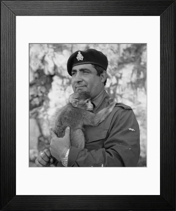 Framed Print : Picture No. 10493994 Framed Print : Picture No. 10493994
