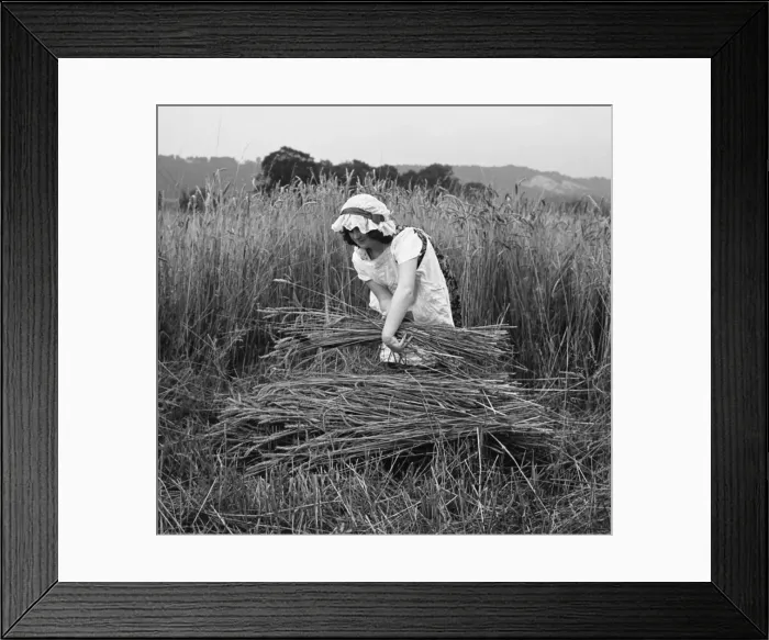 Framed Print : Picture No. 10494015 Framed Print : Picture No. 10494015