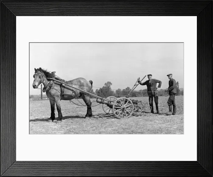 Framed Print : Picture No. 10493951 Framed Print : Picture No. 10493951