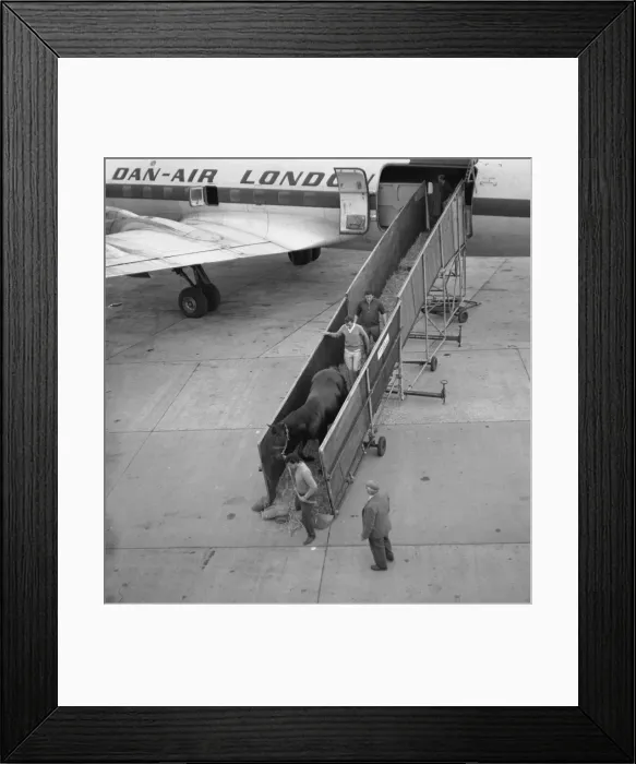 Framed Print : Picture No. 10493959 Framed Print : Picture No. 10493959