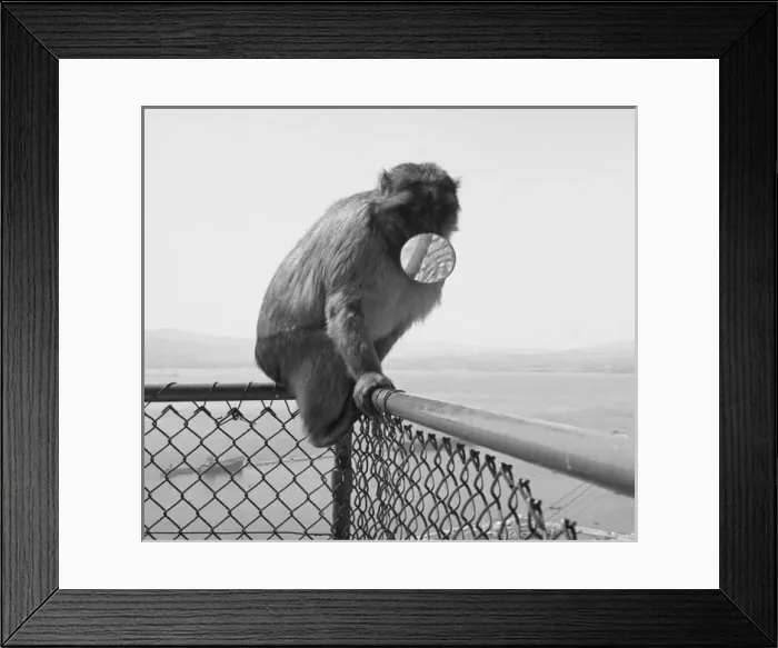 Framed Print : Picture No. 10493996 Framed Print : Picture No. 10493996