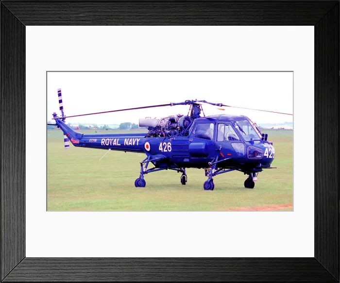 Framed Print : Westland Wasp HAS.1 G-KAWW - XT781 Framed Print : Westland Wasp HAS.1 G-KAWW - XT781