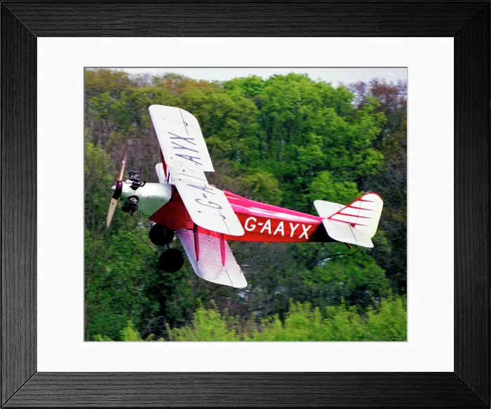 Framed Print : Southern Martlet G-AAYX Framed Print : Southern Martlet G-AAYX