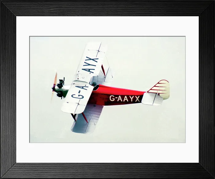 Framed Print : Southern Martlet G-AAYX Framed Print : Southern Martlet G-AAYX