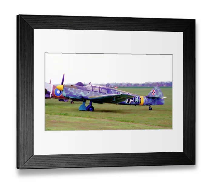 Framed Print : Nord N.1002 Pingouin G-ATBG
