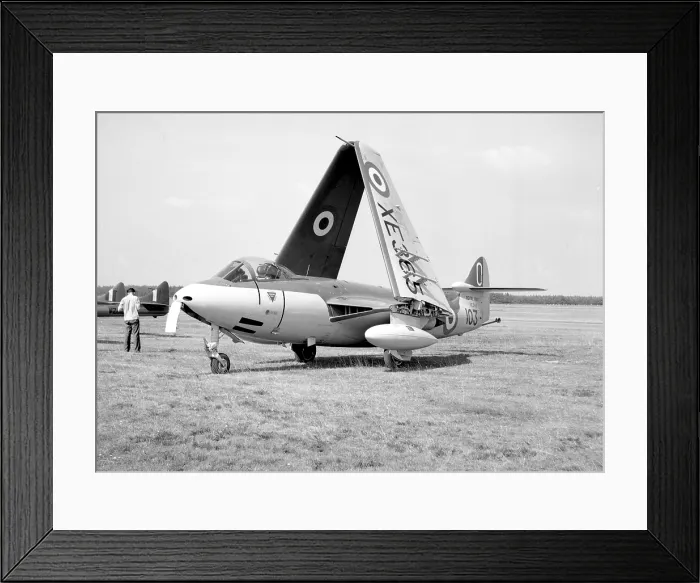 Framed Print : Hawker Sea Hawk FGA.4 XE365 Framed Print : Hawker Sea Hawk FGA.4 XE365
