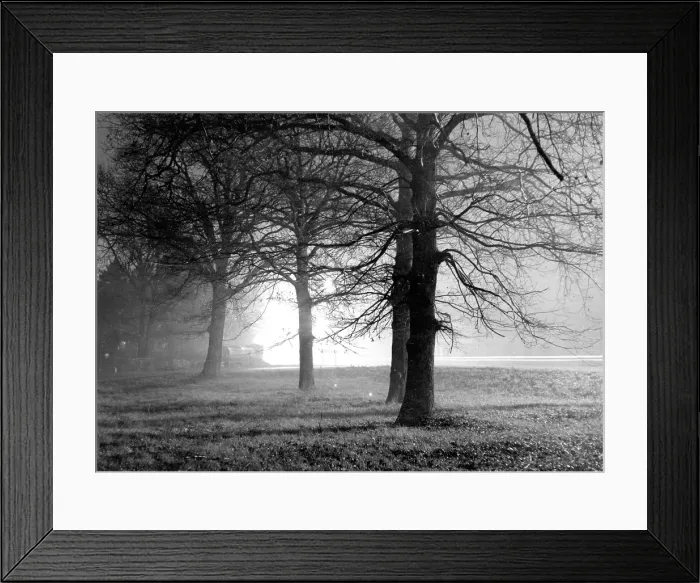 Framed Print : Misty park at night Framed Print : Misty park at night
