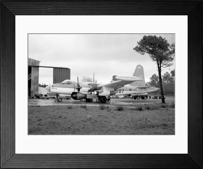 Framed Print : Lockheed P2V-7 Neptune 144687 Framed Print : Lockheed P2V-7 Neptune 144687