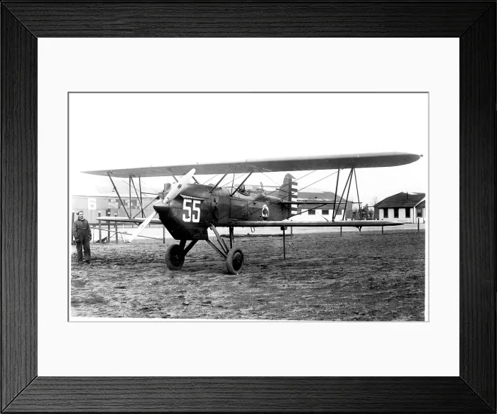Framed Print : United States Army Air Corps - Curtiss O-1E Falcon Framed Print : United States Army Air Corps - Curtiss O-1E Falcon