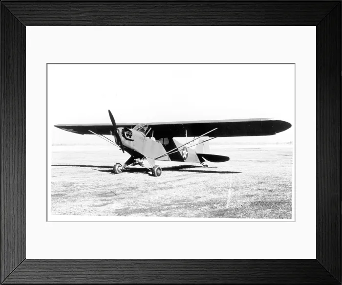 Framed Print : Piper O-59 Grasshopper Framed Print : Piper O-59 Grasshopper