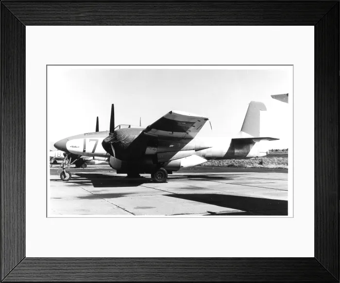 Framed Print : Grumman F7F Tigercat fire tanker Framed Print : Grumman F7F Tigercat fire tanker