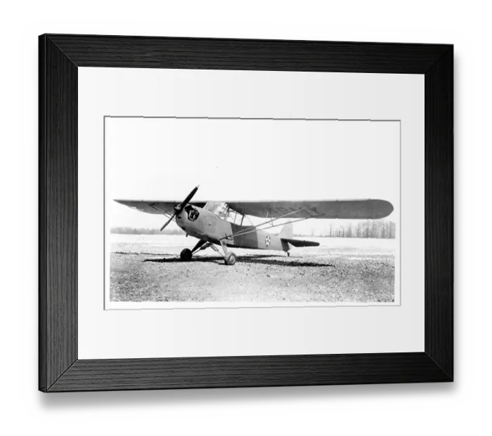 Framed Print : Taylorcraft O-57A Grasshopper 42-15074 Framed Print : Taylorcraft O-57A Grasshopper 42-15074