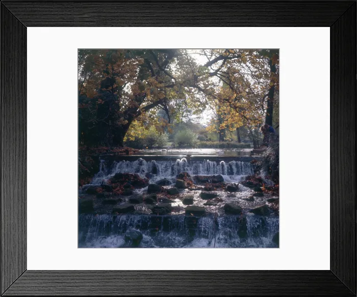 Framed Print : Waterfall at Carshalton Beeches - The Grove Park, Sutton Framed Print : Waterfall at Carshalton Beeches - The Grove Park, Sutton