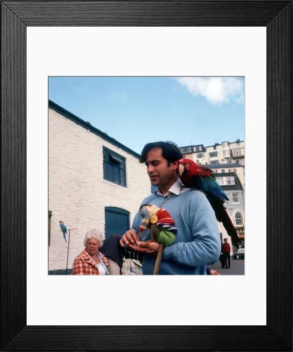 Framed Print : Street entertainer with Macaw and Puppet, Brixham, Devon Framed Print : Street entertainer with Macaw and Puppet, Brixham, Devon