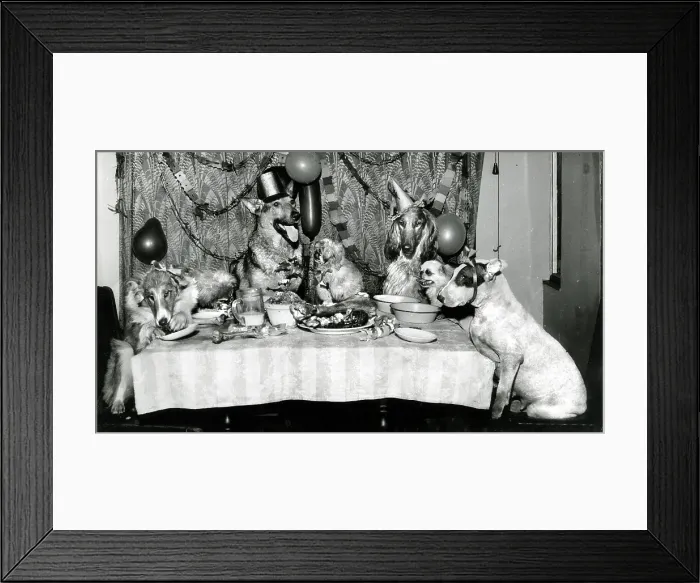 Framed Print : Susi's doggy friends having a party Framed Print : Susi's doggy friends having a party