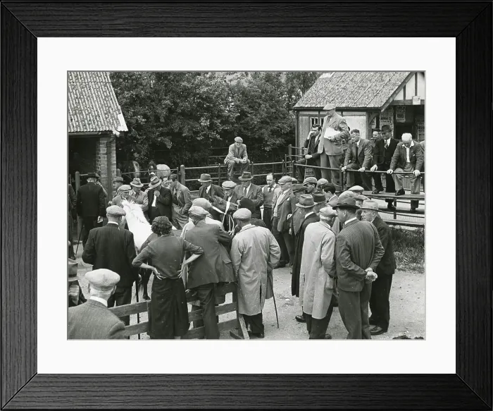 Framed Print : A group of men gather round a frightened pony at a horse auction at Sennybridge, Brecon, Wales. Date: 1940s Framed Print : A group of men gather round a frightened pony at a horse auction at Sennybridge, Brecon, Wales. Date: 1940s