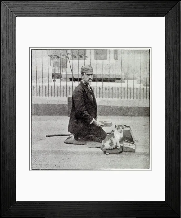 Framed Print : A regular shoeshiner in the streets of London with one leg, took pity on a starving kitten and fed it after that it came with one whistle and sat next to him while he worked Framed Print : A regular shoeshiner in the streets of London with one leg, took pity on a starving kitten and fed it after that it came with one whistle and sat next to him while he worked