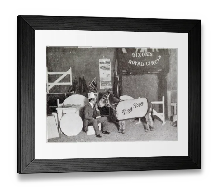Framed Print : Mr. Welch with the new performing clown donkey Ping Pong at the Comedy Theatre. Date: 1902 Framed Print : Mr. Welch with the new performing clown donkey Ping Pong at the Comedy Theatre. Date: 1902