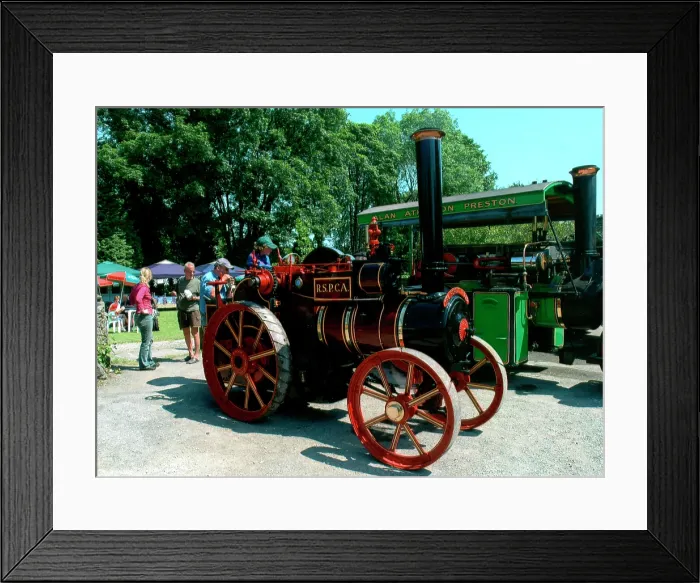 Framed Print : Tasker Tractor number: 1296, The Horse's Friend Framed Print : Tasker Tractor number: 1296, The Horse's Friend