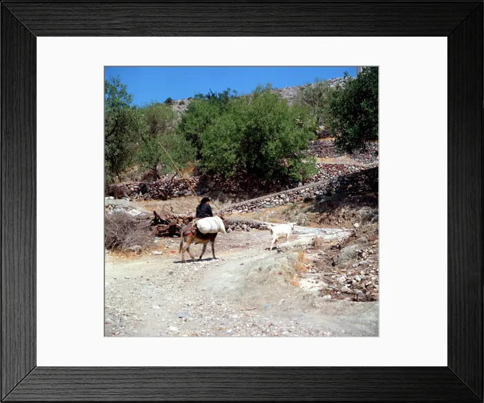 Framed Print : Pastoral scene in Greece Framed Print : Pastoral scene in Greece