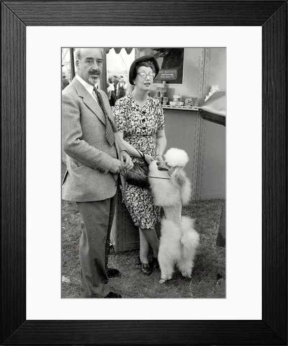 Framed Print : Formally dressed couple with their fancy poodle taking a break at dog show in northern England Framed Print : Formally dressed couple with their fancy poodle taking a break at dog show in northern England