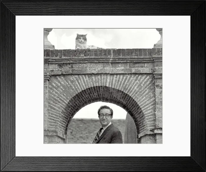 Framed Print : The actor and satirical award-winning English comedian became famous in the late 1940s, initially on radio and later appearing in iconic films such as the The Pink Panther and Dr Framed Print : The actor and satirical award-winning English comedian became famous in the late 1940s, initially on radio and later appearing in iconic films such as the The Pink Panther and Dr