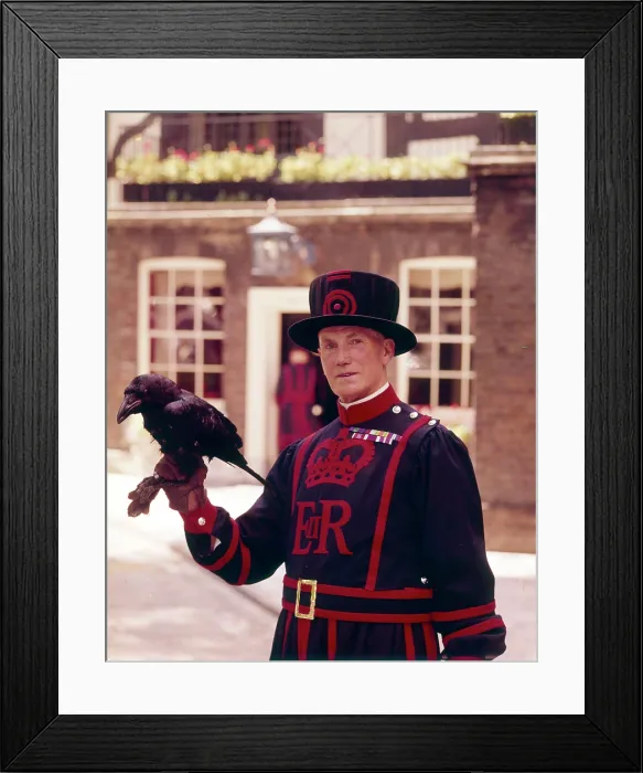 Framed Print : Yeoman Quartermaster with raven, Tower of London Date: circa 1960s Framed Print : Yeoman Quartermaster with raven, Tower of London Date: circa 1960s