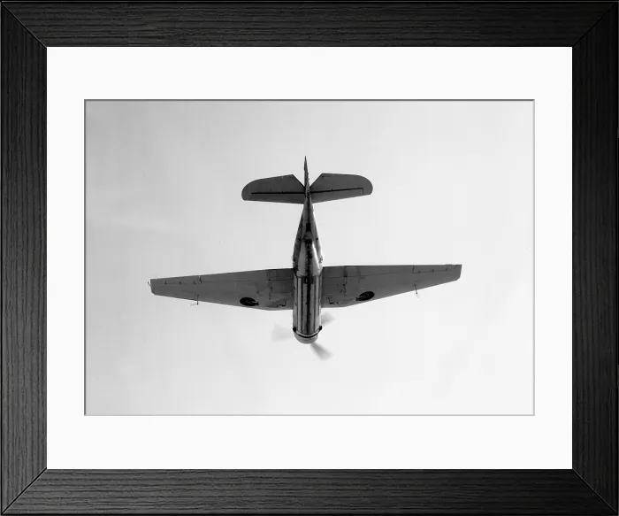 Framed Print : Grumman Tarpon Framed Print : Grumman Tarpon