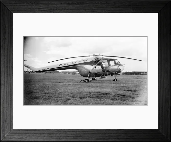 Framed Print : Bristol 171 Sycamore Framed Print : Bristol 171 Sycamore