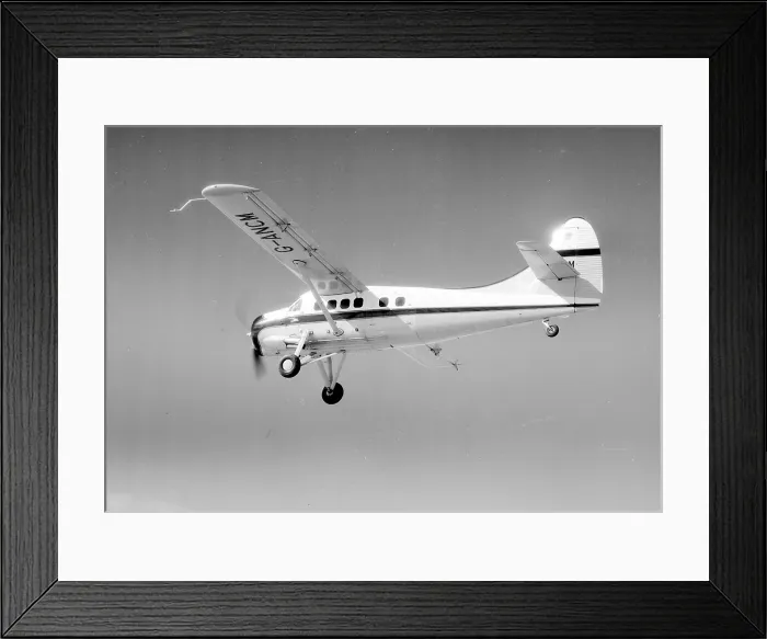 Framed Print : de Havilland Canada DHC-3 Otter G-ANCM Framed Print : de Havilland Canada DHC-3 Otter G-ANCM