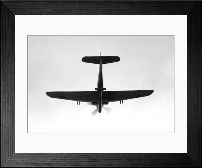 Framed Print : Blackburn Firebrand TF.III DK372 Framed Print : Blackburn Firebrand TF.III DK372