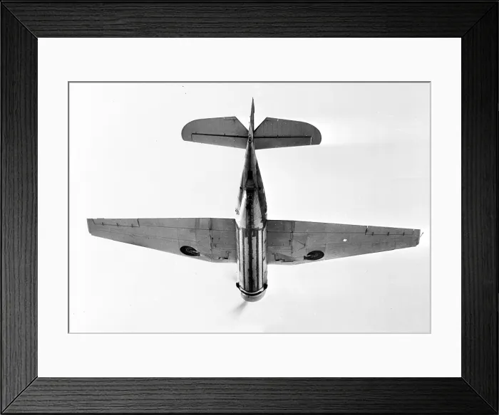 Framed Print : Grumman Tarpon TR.I Framed Print : Grumman Tarpon TR.I