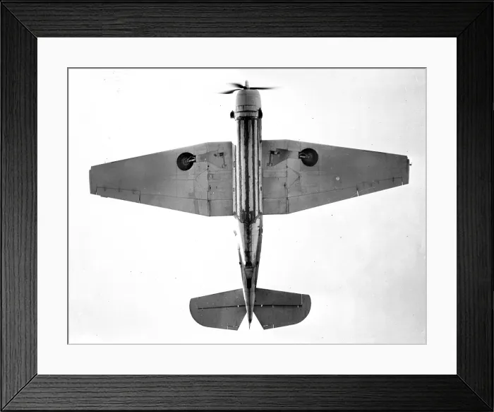 Framed Print : Grumman Tarpon TR.I Framed Print : Grumman Tarpon TR.I