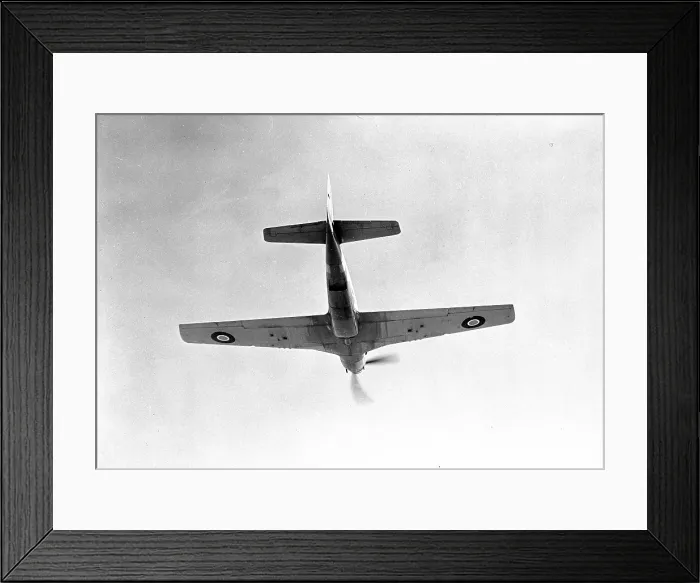 Framed Print : North American Mustang I Framed Print : North American Mustang I