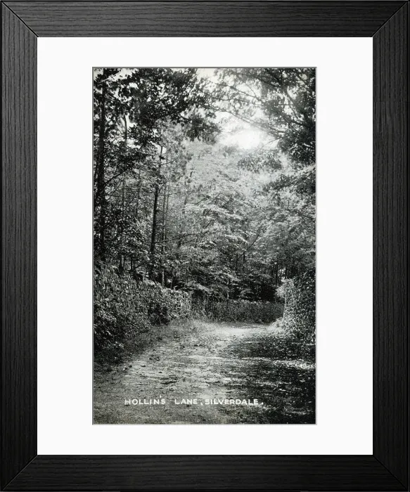 Framed Print : Hollin's Lane, Silverdale, Lancashire Date: circa 1909 Framed Print : Hollin's Lane, Silverdale, Lancashire Date: circa 1909
