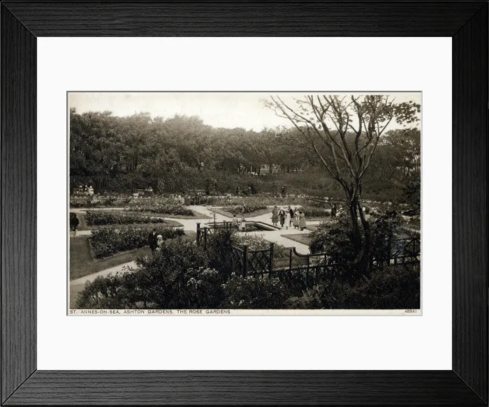 Framed Print : St. Annes-on-Sea, Lancashire - Ashton Gardens - The Rose Garden. Date: circa 1910s Framed Print : St. Annes-on-Sea, Lancashire - Ashton Gardens - The Rose Garden. Date: circa 1910s