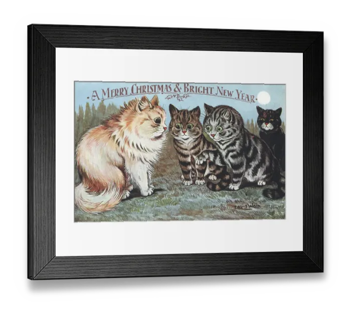 Framed Print : Conferring Cats Framed Print : Conferring Cats