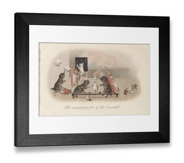 Framed Print : Classroom Cats Framed Print : Classroom Cats