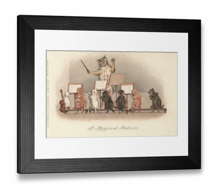 Framed Print : Musical Cats Framed Print : Musical Cats