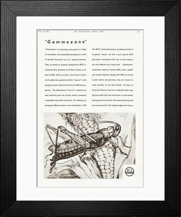 Framed Print : Advertisement for Gammexane a range of new insecticides manufactured by ICI, based on benzene hexachloride, a compound first prepared by Michael Faraday in 1825 Framed Print : Advertisement for Gammexane a range of new insecticides manufactured by ICI, based on benzene hexachloride, a compound first prepared by Michael Faraday in 1825