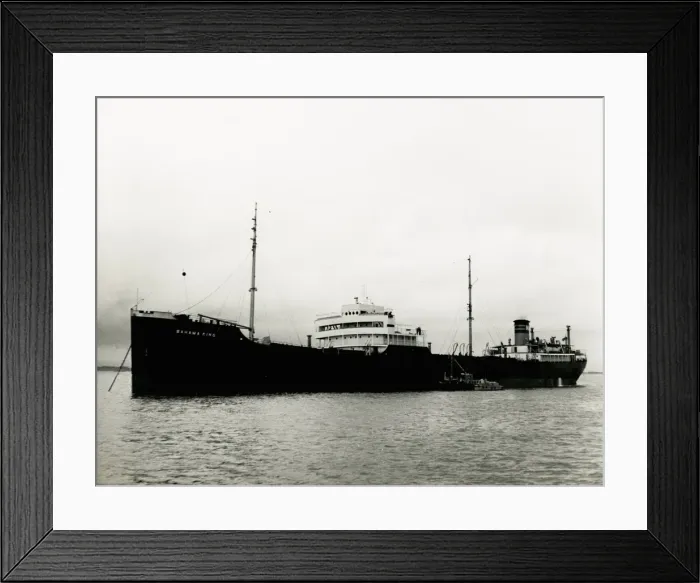 Framed Print : The Bahama King Framed Print : The Bahama King