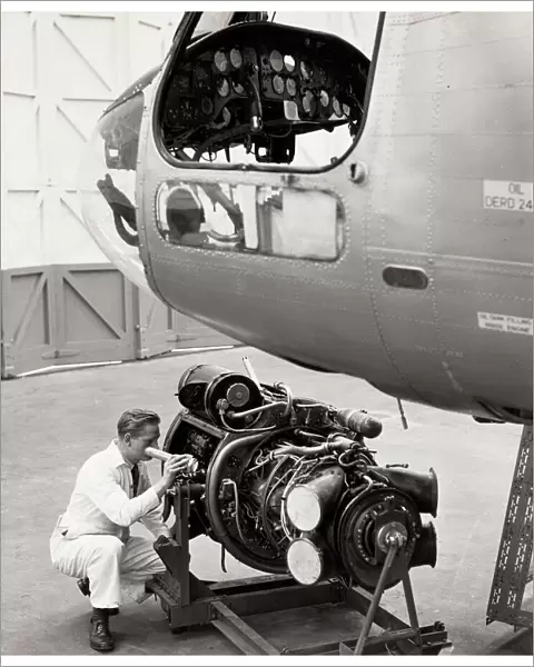 Inspecting engine beside Belvedere helicopter