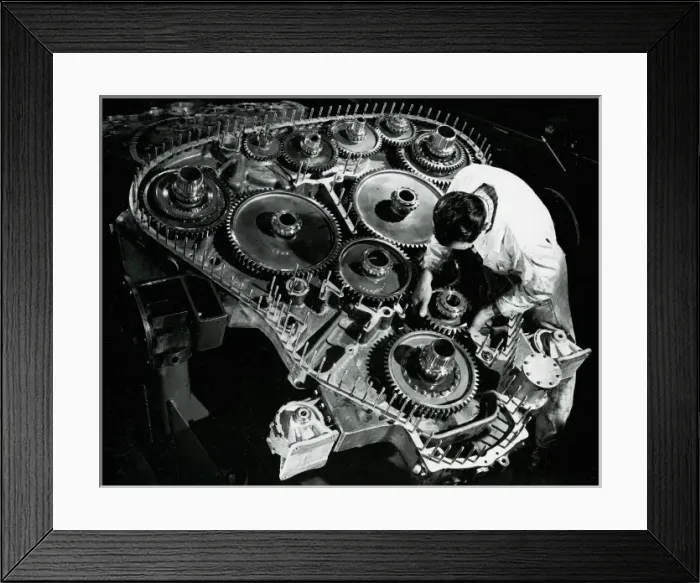 Framed Print : Lion assembly Framed Print : Lion assembly