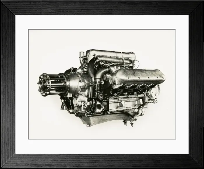 Framed Print : Napier Lion Series V Framed Print : Napier Lion Series V