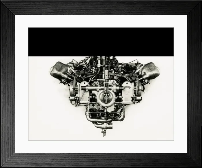 Framed Print : Napier Lion Series V, front view Framed Print : Napier Lion Series V, front view
